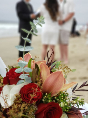 Our Events Album Image #17