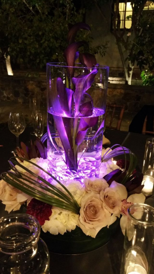 Our Events Album Image #9