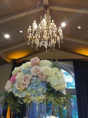 Our Events Album Image #19